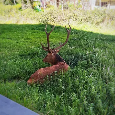 Le Masserie Casa vacanze *