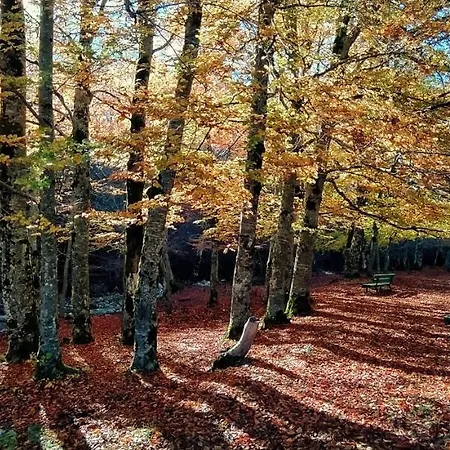 بيت للعطل Le Masserie