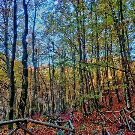 Casa vacanze Le Masserie *