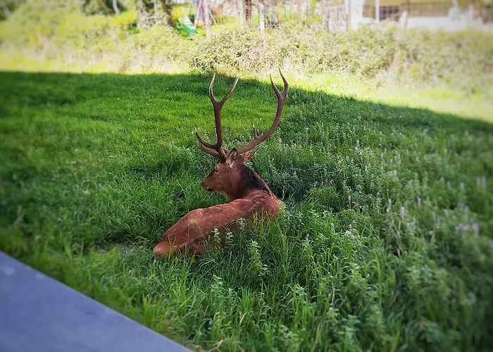 Le Masserie Ferienhaus *