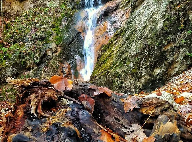 Le Masserie בית נופש