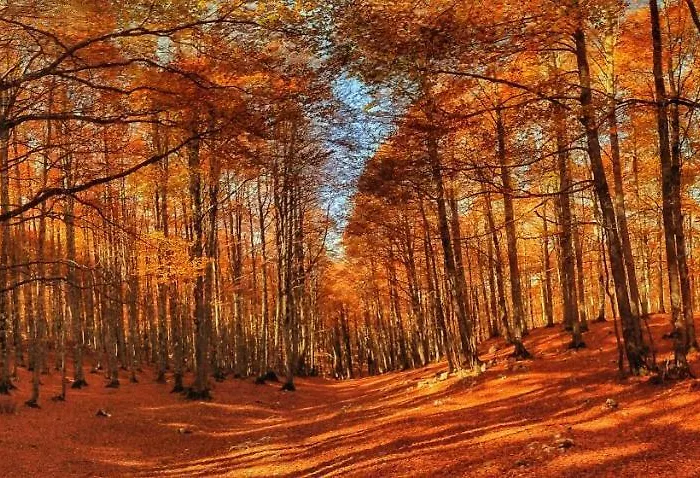 Le Masserie Ferienhaus Villetta Barrea