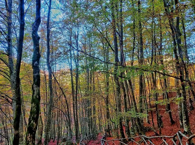 Ferienhaus Le Masserie *