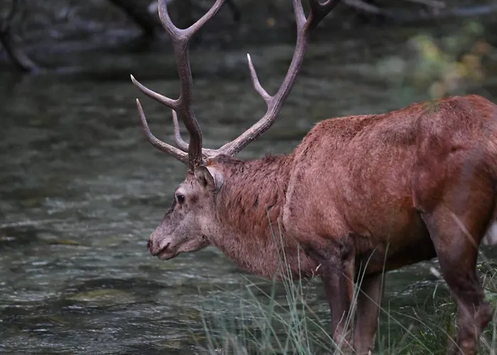 Le Masserie Ferienhaus Villetta Barrea